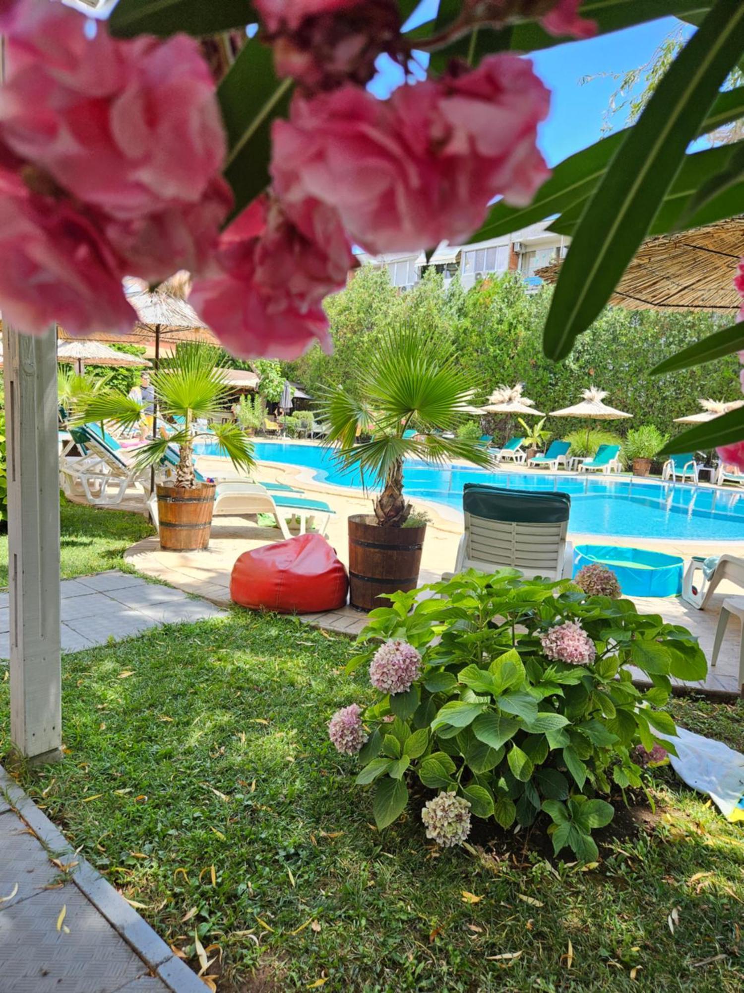 Hotel Liani 써니비치 외부 사진